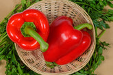 Sweet Pepper F1 Hybrid Turbo Red